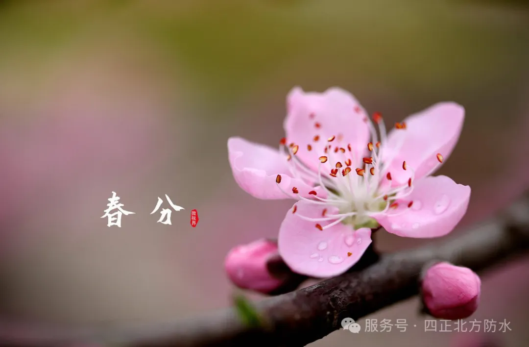 1744170202392632B7aU.png 6404.webp.png